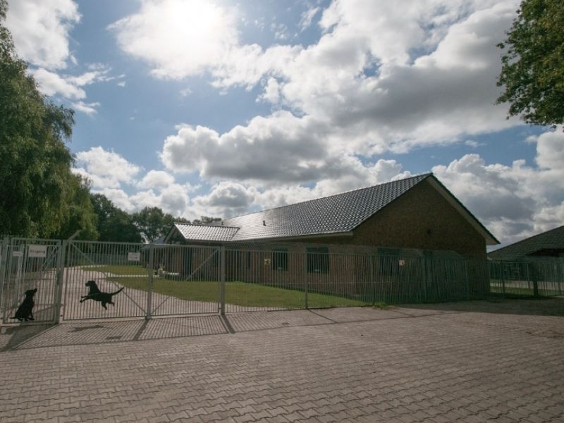 Bild von Hundepension
